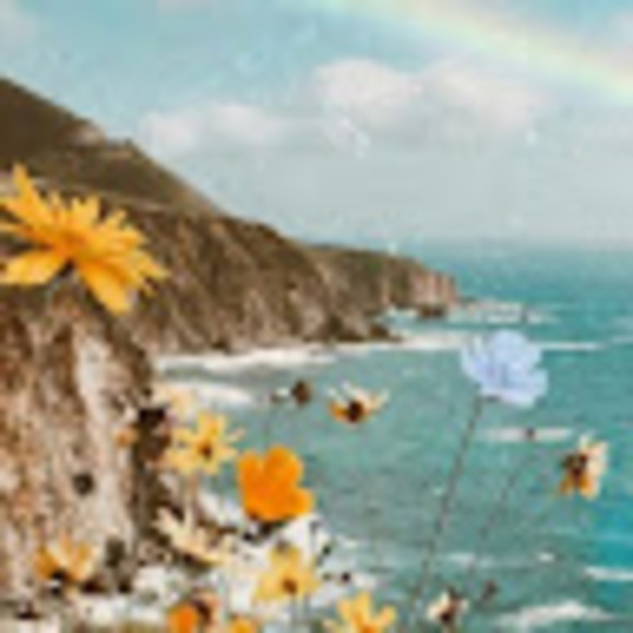 Meet your Posher, Grace - Picture 1 of 1